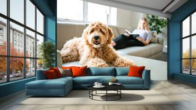 woman with his Golden Labradoodle dog reading at home Wall mural