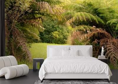 two big ferns and grass Wall mural