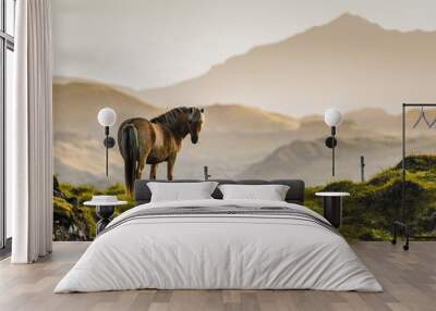 Iceland horse Wall mural