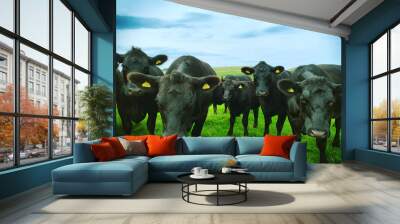 cows in field Wall mural