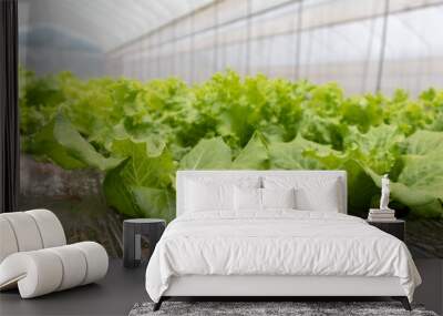 Hydroponic Lettuce Cultivation: A Fresh Symphony of Green in the Modern Farming Landscape Wall mural