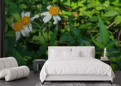 White color on a yellow flower Wall mural