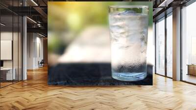 a glass of water with ice on nature background Wall mural