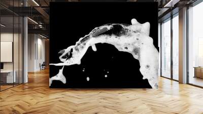 White bubble foam splash explosion in the air on black background,freeze stop motion photo object design Wall mural