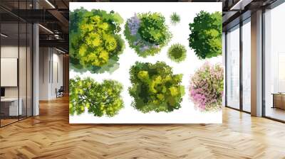 Abstract watercolor vector of tree top view isolated on white background for landscape plan and architecture layout drawing, elements for environment and garden, blossom grass, flower blooming. Wall mural