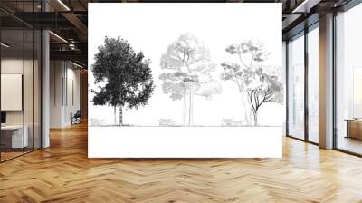 Minimal style tree line drawing, Side view graphics set, outline symbol for architecture and landscape design, Vector illustration in stroke fill white, Tropical, architectural drawing, nature outline Wall mural