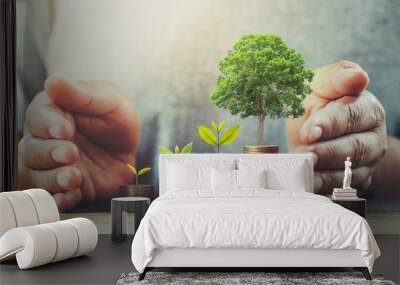 businessman protection money on table with tree. concept saving Wall mural