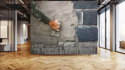 closeup hand of worker plastering cement at wall for building house Wall mural