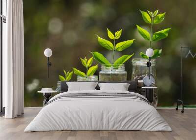 coins in four jug glass with plant grow step on wood. saving and growing money concept Wall mural