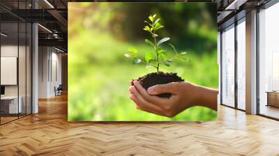 eco earth day concept. hand holding young plant in sunshine and green nature background Wall mural