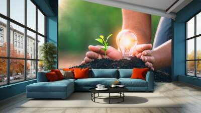 energy concept. eco power. hand protection lightbulb with small tree growing on soil Wall mural