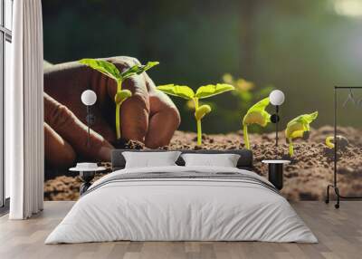 farmer hand planting beans in garden Wall mural