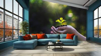 hand children holding young plant with sunlight on green nature background. concept eco earth day Wall mural