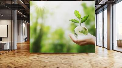 hand holding glass globe ball with tree growing and green nature blur background. eco concept Wall mural