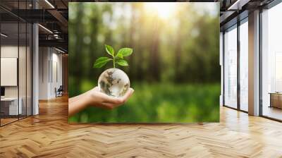 hand holding globe glass and tree growing green nature background. environment eco day concept Wall mural