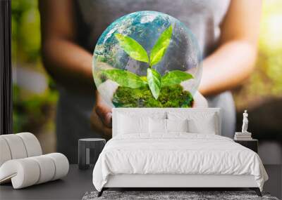 hand holding globe with young plant growing and sunshine in nature. concept save earth.Elements of this image furnished NASA Wall mural