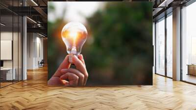 hand holding light bulb in nature background. concept solar energy Wall mural