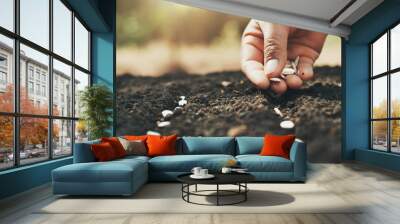 hand planting pumpkin seed in the vegetable garden and light warm. agriculture concept Wall mural