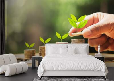 hand putting coins on stack with plant growing on money . concept finance and accounting Wall mural