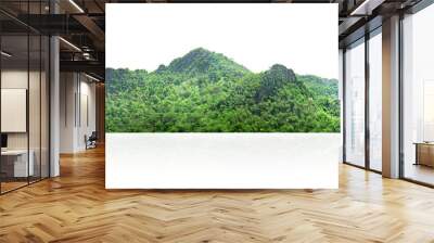 mountain range with lush green trees isolate on white background Wall mural