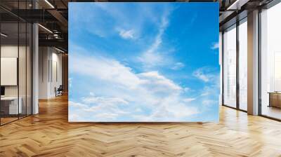 panorama blue sky background with white cloud Wall mural