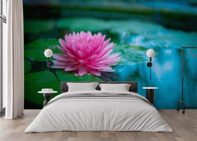 pink flower lotus is floating on a pond Wall mural