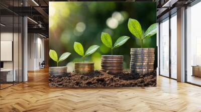 plant growing step on coins. concept finance and accounting Wall mural