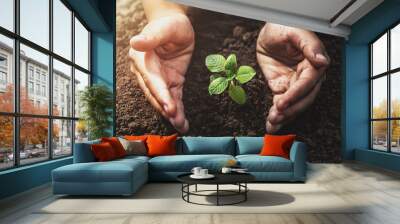 plant growing with hand protection and sunshine in garden. concept eco Wall mural