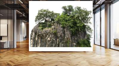 rock mountain hill with  green forest isolate on white background Wall mural