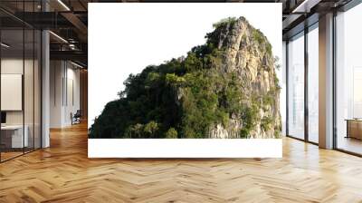 rock mountain hill with  green forest isolate on white background Wall mural