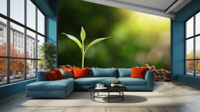 small tree growing on soil in garden with sunshine. eco Wall mural