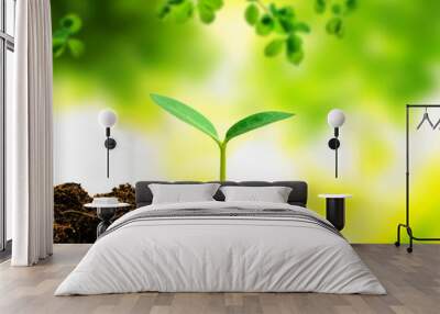 small tree new life Wall mural