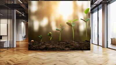 soybean growth in farm with green leaf background. agriculture plant seeding growing step concept Wall mural