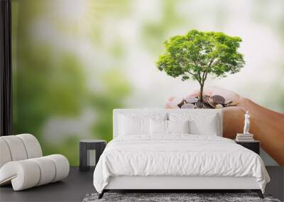 tree growing on pile of money in hand and green nature background Wall mural