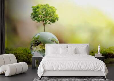 tree growth on globe glass in nature. concept eco earth day Wall mural