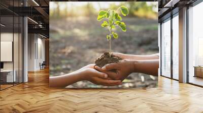 two hand holding young for planting in garden. concept save world Wall mural