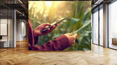 woman farmer using technology mobile in corn field Wall mural