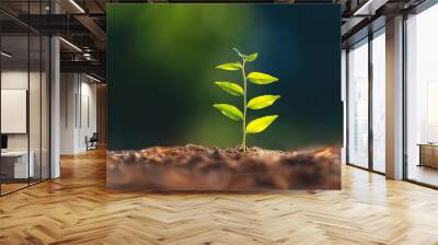 young plant growing on dirt with sunshine in nature. eco earthday concept Wall mural