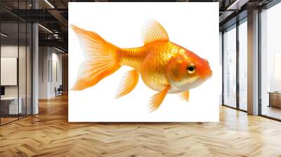 goldfish isolated on white background Wall mural