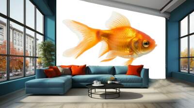 goldfish isolated on white background Wall mural