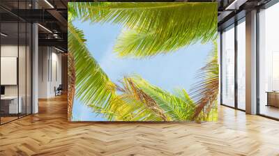 palm tree on blue Wall mural