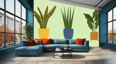 Decorative green houseplants in planters vector illustration. natural home decor and indoor houseplants. flat vector illustration. Wall mural