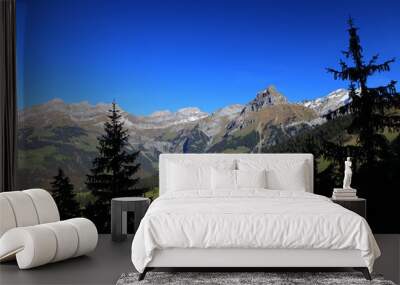 Large mountains with clear blue skies and pine trees in a rural village Switzerland Wall mural