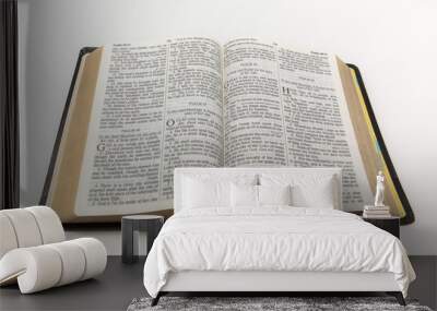 Open Bible Wall mural