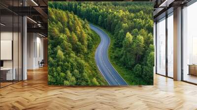 Aerial view of a winding road through a lush green forest. Wall mural