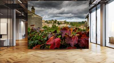 Saint-Emilion Wall mural