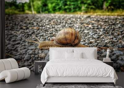 Snail on the move Wall mural