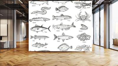 Fish and seafood hand drawn graphic illustration Wall mural