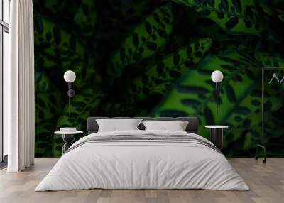 Plant Selection Wall mural