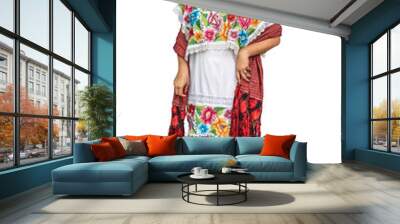 Portrait of a Mayan woman in Yucatan with clipping path. Isolated full body of a smiling nice woman from Mexico Wall mural